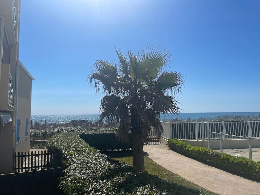 Appart Frontignan Sur La Plage, Piscine, Wifi, Tv, Netflix Exteriér fotografie